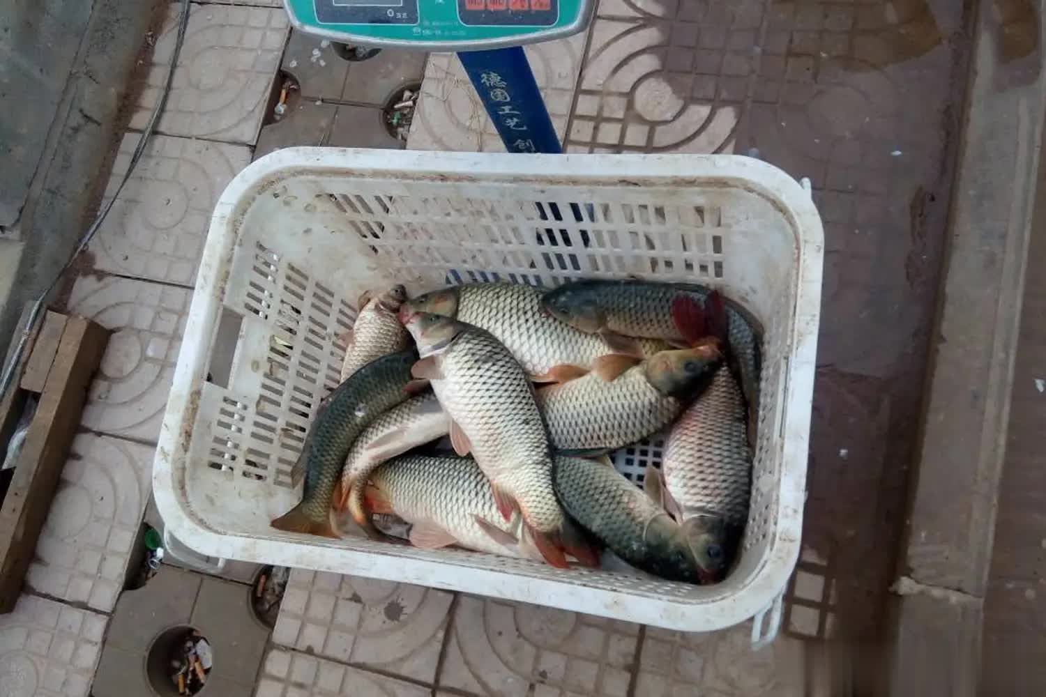 结束, src